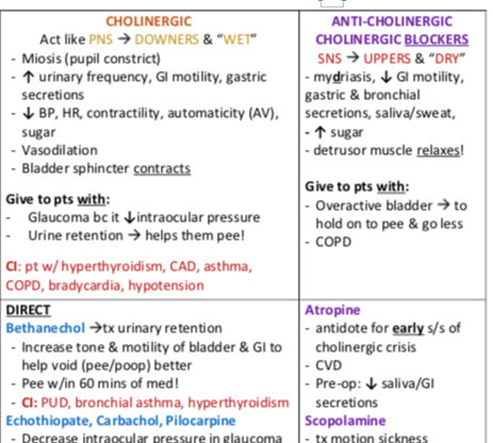 Adrenergic Vs Cholinergic Cheat Sheet - Etsy