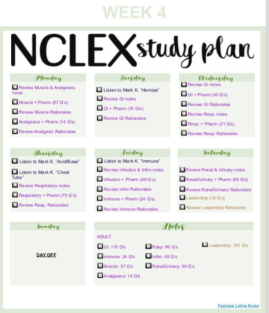 nclex-study-plan-green-etsy
