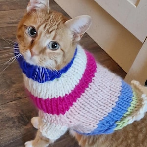 May include: A ginger cat wearing a striped knitted jumper with pink, white, blue and green stripes. The jumper has a blue turtleneck.