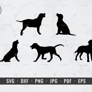 Labrador Retriever svg, Labrador Dog svg Labrador Silhouette Bundle svg, png, dxf, Cricut, Silhouette, Vector, ClipArt, Digital Download