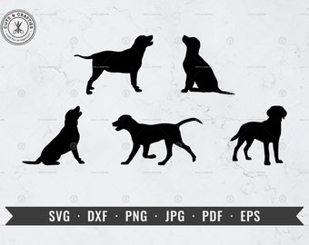Labrador Retriever svg, Labrador Dog svg Labrador Silhouette Bundle svg, png, dxf, Cricut, Silhouette, Vector, ClipArt, Digital Download