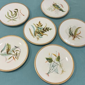 6 Victorian Era Royal Worcester Plates, Botanical Design Set, Antique China, 1860 Porcelain, Collector&#39;s Plates, Decorative Set, Home Decor