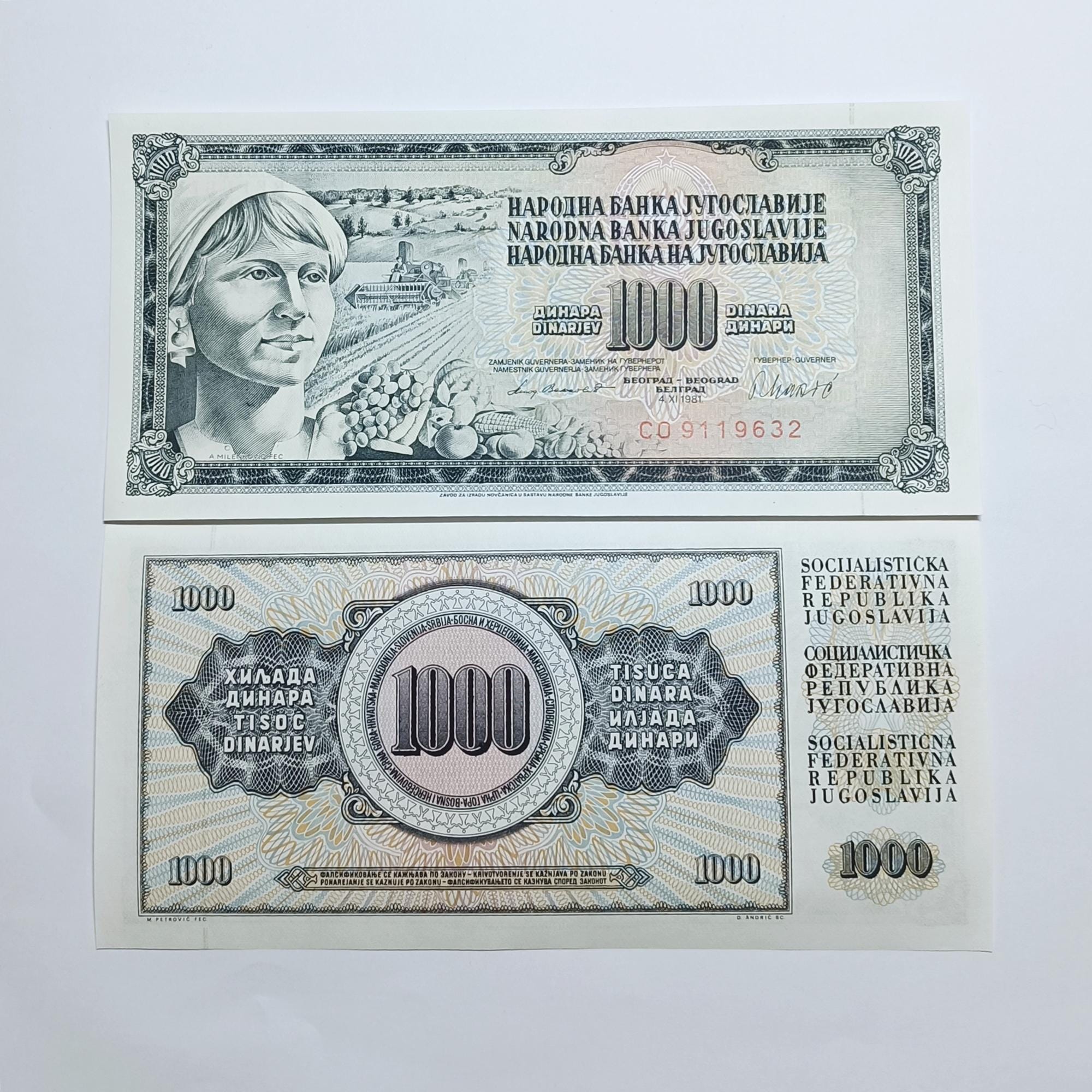 ユーゴスラビア紙幣 1000ディナール 未使用品 収集用貨幣 教育用地理