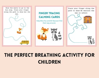 Calming Corner Finger Tracing Cards: Mr Raccoon & Miss Rabbit (Digital Download)