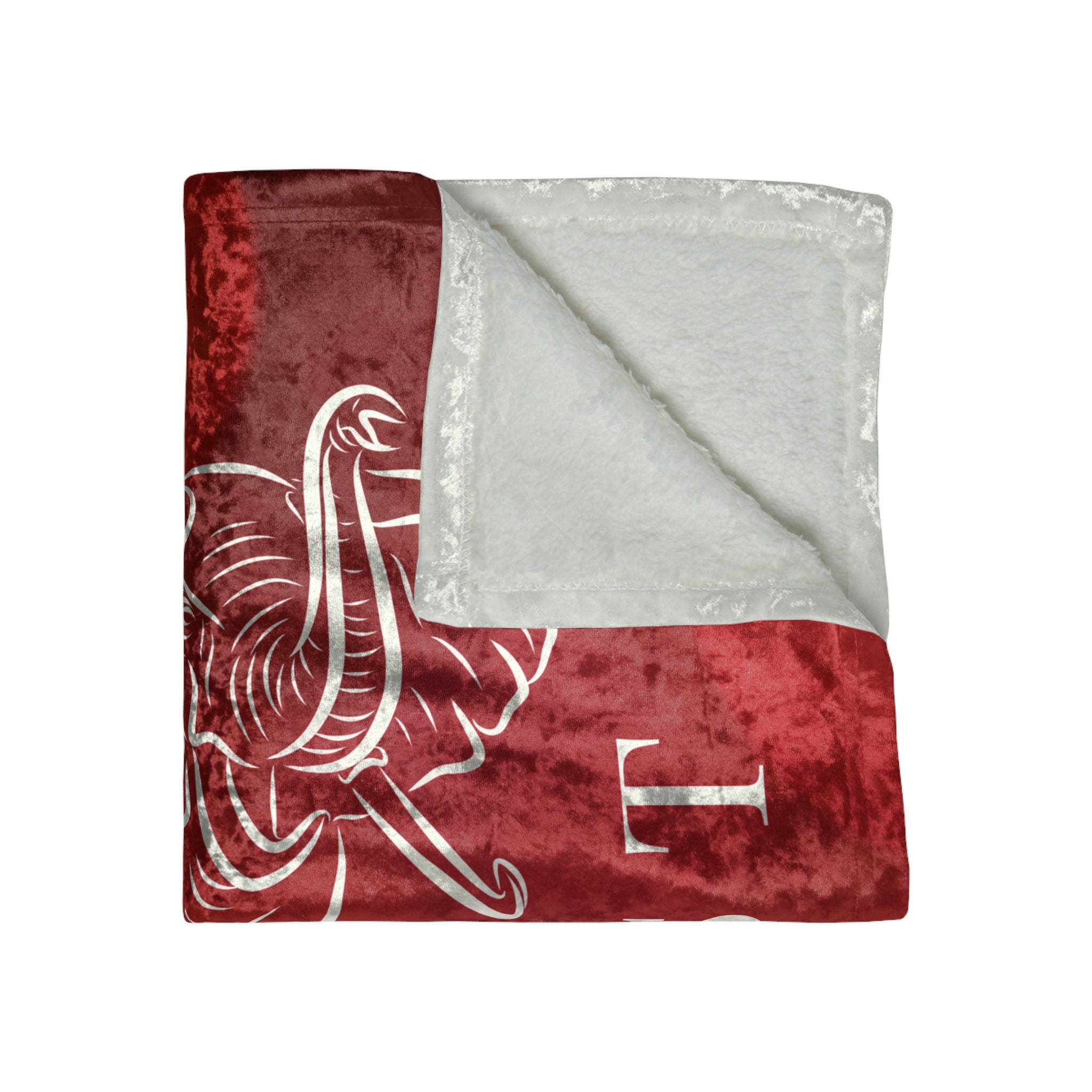 J13 DST Founder's Day Monogram Velvet Blanket, DST Paraphernalia 1913 Unique Annual Blanket