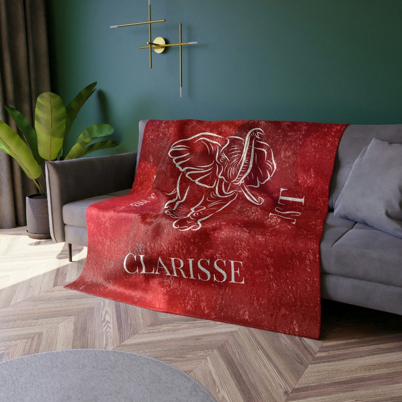 J13 DST Founder's Day Monogram Velvet Blanket, DST Paraphernalia 1913