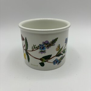 Vintage Portmeirion Botanischer Garten Trommel Sukkulenten Pflanzentopf Ehrenpreis Veronica Chamaedrys