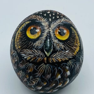 Original Hand Painted Owl Rock Stone Signed by Artist