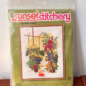 May include: A Sunset Stitchery needlepoint kit titled "Tropical Atrium." The kit features a colorful illustration of two parrots, a hanging birdcage, and tropical plants. The kit fits a 16 x 20 inch frame and is packaged in a clear plastic bag.
