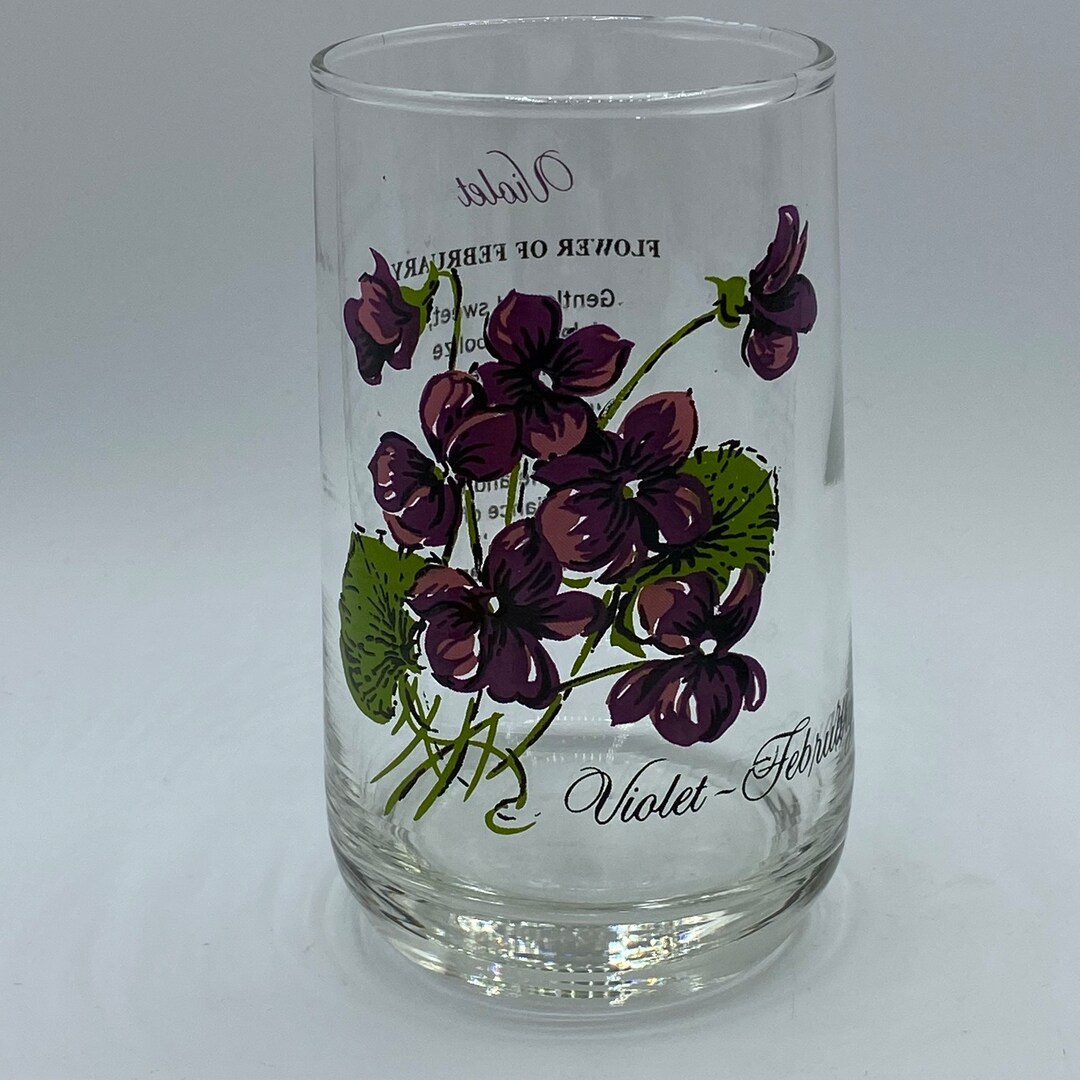 Vintage Brockway Flowers of the Month Glasses Etsy