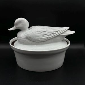 APILCO 食器 アヒル 蓋付 テリーヌポット フランス