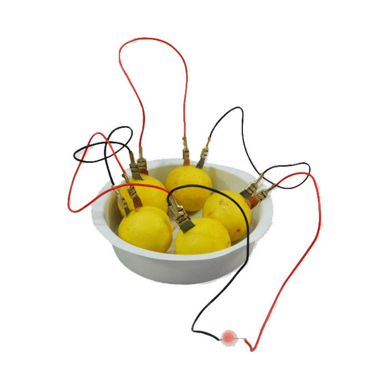Lemon Battery DIY Science Experiment Project Kit Etsy