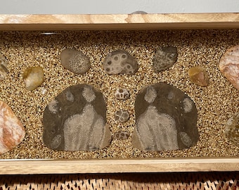 Wooden Stone Tray | Michigan Fossil Decor | Souvenir