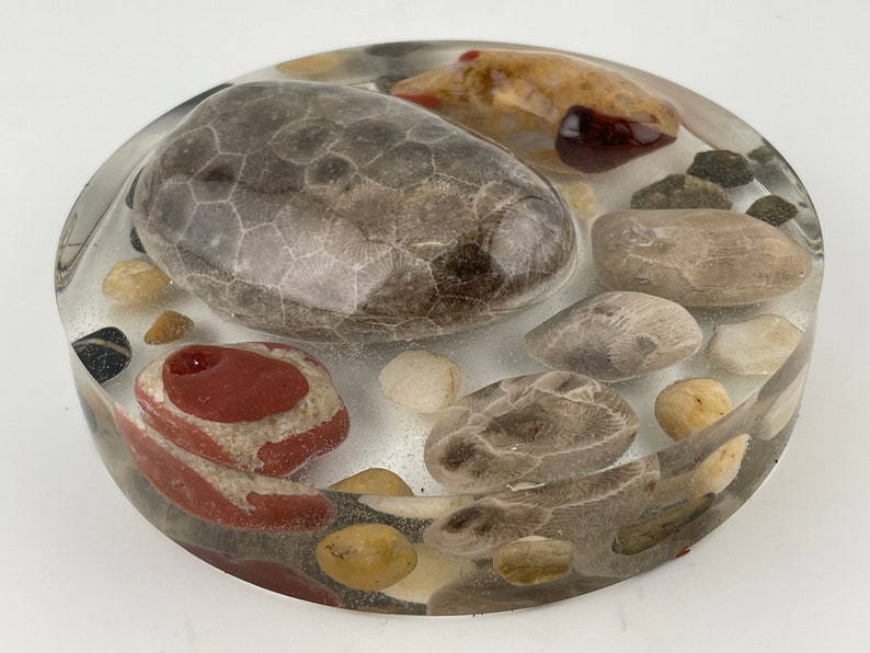 Paperweight Petoskey Stone Pet1