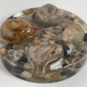 Paperweight Petoskey Stone HornCo