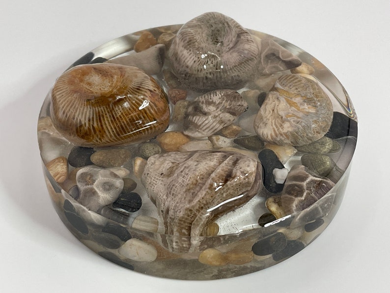 Paperweight Petoskey Stone HornCo