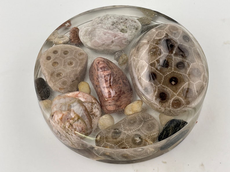 Paperweight Petoskey Stone Pet2