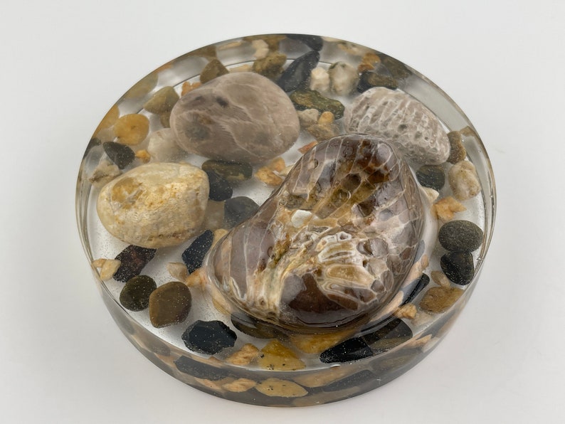 Paperweight Petoskey Stone Fossil2