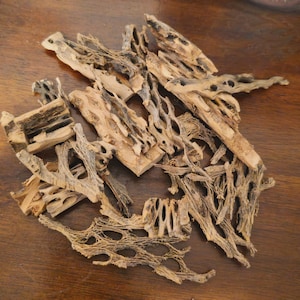 Cholla Wood Pieces: Aquarium & Terrarium Decor - Assorted Sizes