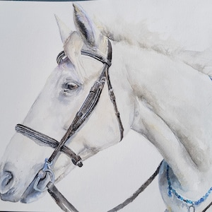 Personalize horse portrait from photo/watercolor horse painting/ horse lover gift/ pet memorial/ hand made.