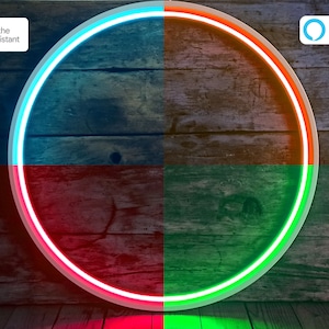 Color changing LED ring light with smart home control for hanging (28&quot; / 64cm)