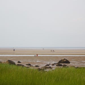 May include: A wide shot of a sandy beach with a few people walking on the shore. The beach is surrounded by green grass and a few rocks.