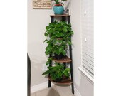 Corner plant stands indoor, Wood Ladder Plant Shelves indoor