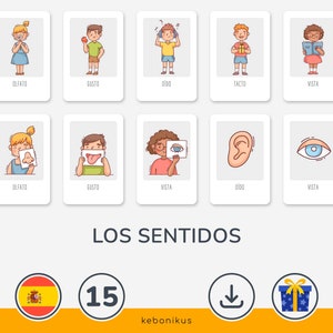 Tarjetas Educativas de los Sentidos para Niños – Descarga las 15 Tarjetas de los Sentidos Montessori para un Aprendizaje Divertido en Casa