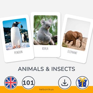 Carte educative sugli animali per bambini – Scarica le 101 carte Montessori sugli animali per imparare divertendosi a casa
