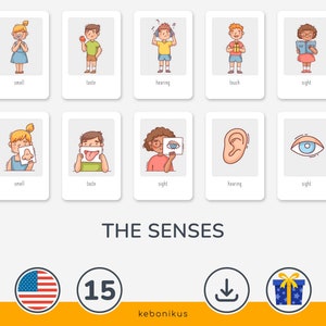Carte dei sensi educativi per bambini – Scarica le 15 Carte dei sensi Montessori per imparare divertendosi a casa