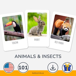 Carte educative sugli animali per bambini – Scarica le 101 carte Montessori sugli animali per imparare divertendosi a casa