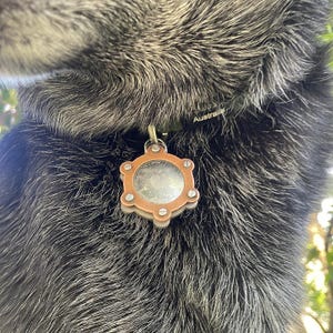 Vattentätt metallfodral för hund-AirTag: Mässing, koppar eller rostfritt stål med titankarbinhake