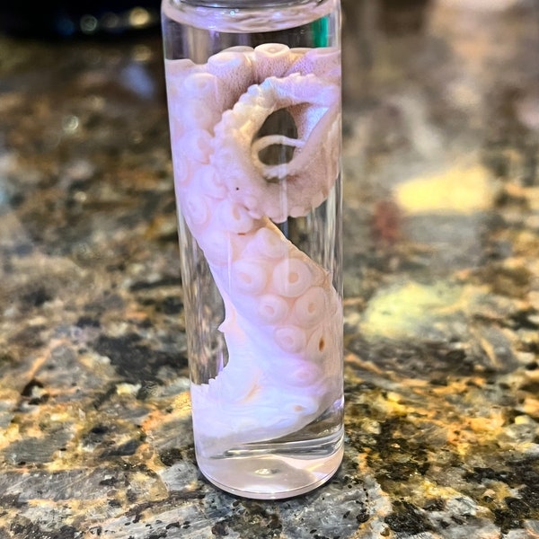 Octopus Tentacle Vial, small oddities gift, wet specimen, kraken, sea monster