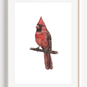 Cardinal Painting, Cardinal Art Print, Cardinal Bird, Bird Art