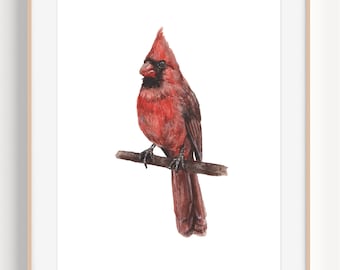 Cardinal Painting, Cardinal Art Print, Cardinal Bird, Bird Art