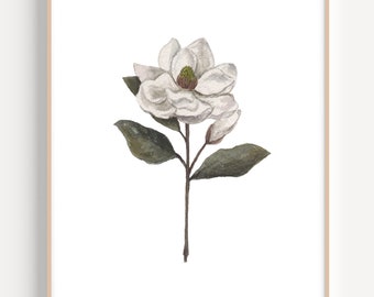 Magnolia Art Print, Magnolia Flower Painting