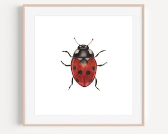 Ladybug Art Print | Ladybug Painting | Insect Art Print
