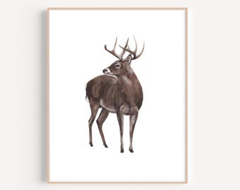 Deer Art Print, White-Tailed Deer, Deer Painting, Deer Nursery Art, Woodland Nursery, Woodland Animals