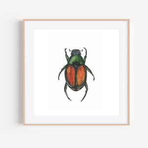 Japanese Beetle | Japanese Beetle Painting | Japanese Beetle Watercolor