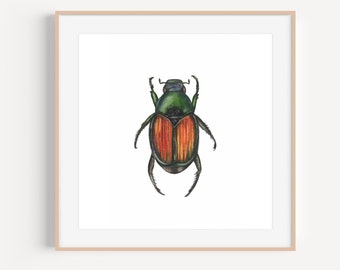 Japanese Beetle | Japanese Beetle Painting | Japanese Beetle Watercolor