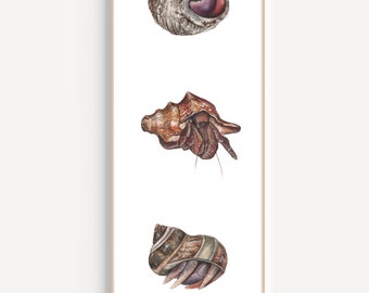 Hermit Crab Painting, Hermit crab art, watercolor art