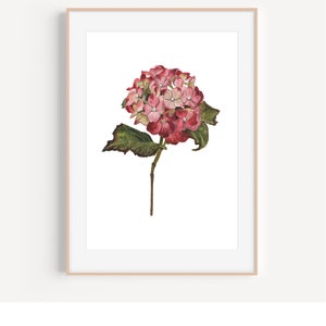 Hydrangea Painting, Pink Hydrangea, Watercolor Hydrangeas, Watercolor Florals, Flower Painting, Florals Painting, Pink Flowers Painting