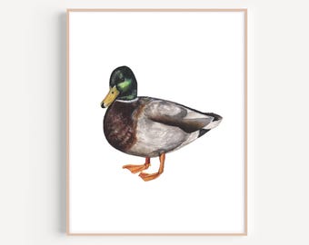Mallard Duck, Duck Painting, Mallard Duck Art Print