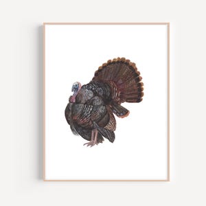 Turkey Painting, Turkey Art Print, Turkey Watercolor