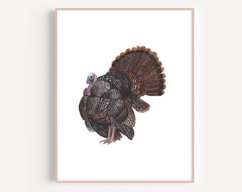Turkey Painting, Turkey Art Print, Turkey Watercolor
