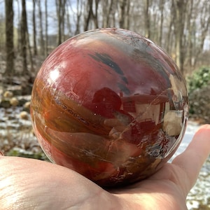 Petrified Wood Polished Sphere from Madagascar