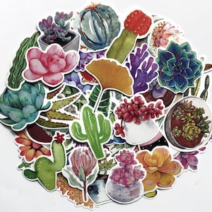 Succulent & Cactus Stickers | Willekeurig stickerpakket