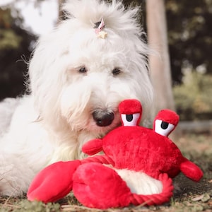 Red Crab Rope Dog Toy, Handmade Chew Toy for Dogs, Squeaky Crab Interactive Toy, Puppy Toy, Dog Holiday Gift Plush Toy for Dog Birthday Gift
