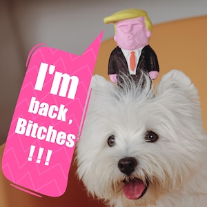 Trump Designs Dog Chew Toy - Handmade Interactive dog Toys /Funny Dog Toy/Donald Trump 2024/President Trump Pets Gift for Small, Large dogs