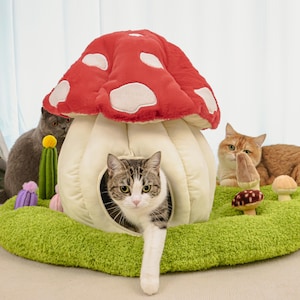 Könnte beinhalten: Ein skurriles Katzenbett in Pilzform mit rotem Dach und weißen Punkten, das auf einer grünen, flauschigen Basis steht. Eine getigerte Katze kommt aus der Öffnung des Pilzes, während zwei weitere Katzen und Pilzdekorationen in der Nähe sind.